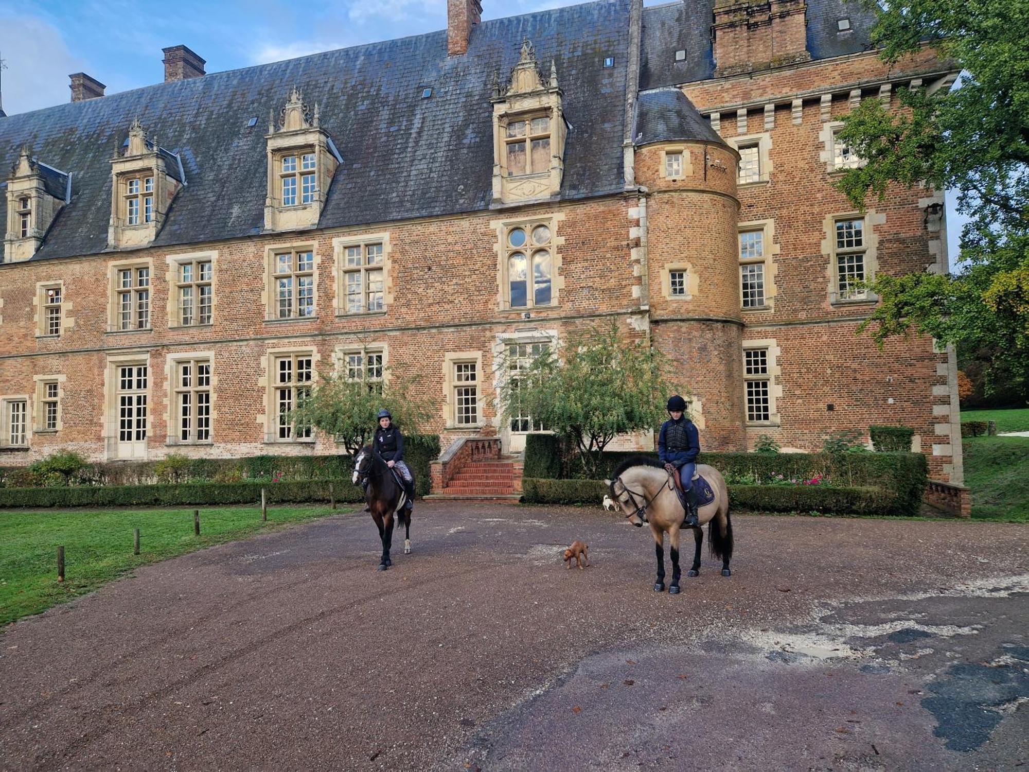 Ferme Equestre & Chambres D'Hotes Gateau Stables Proche Guedelon Saint-Amand-en-Puisaye Exteriér fotografie
