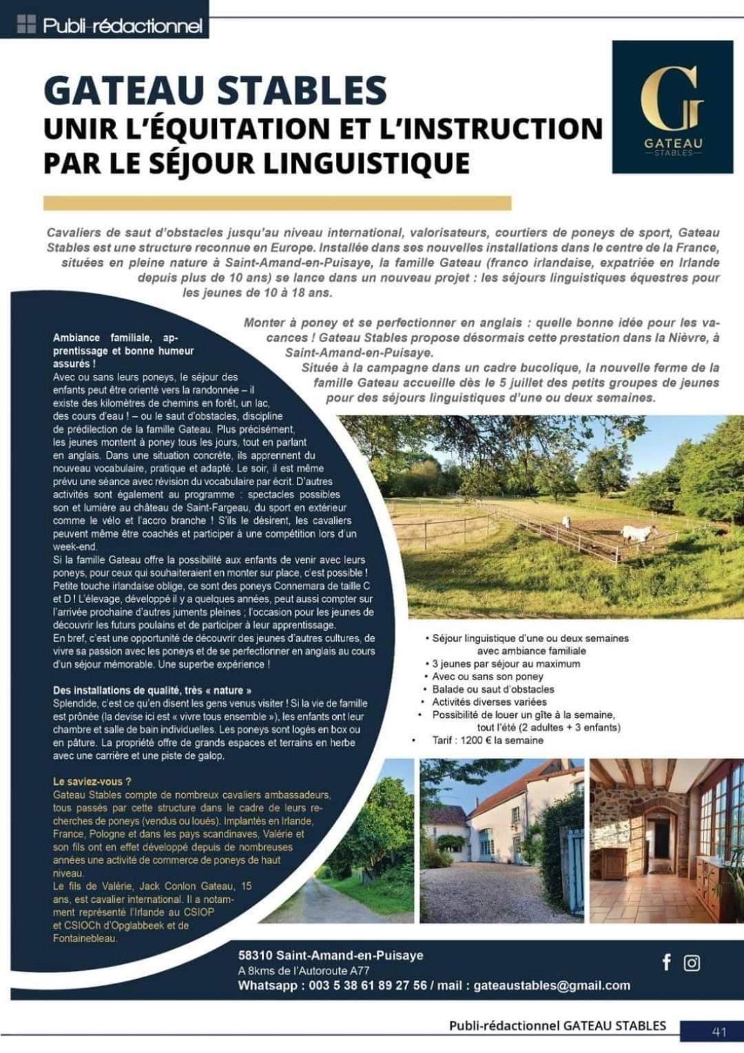 Ferme Equestre & Chambres D'Hotes Gateau Stables Proche Guedelon Saint-Amand-en-Puisaye Exteriér fotografie